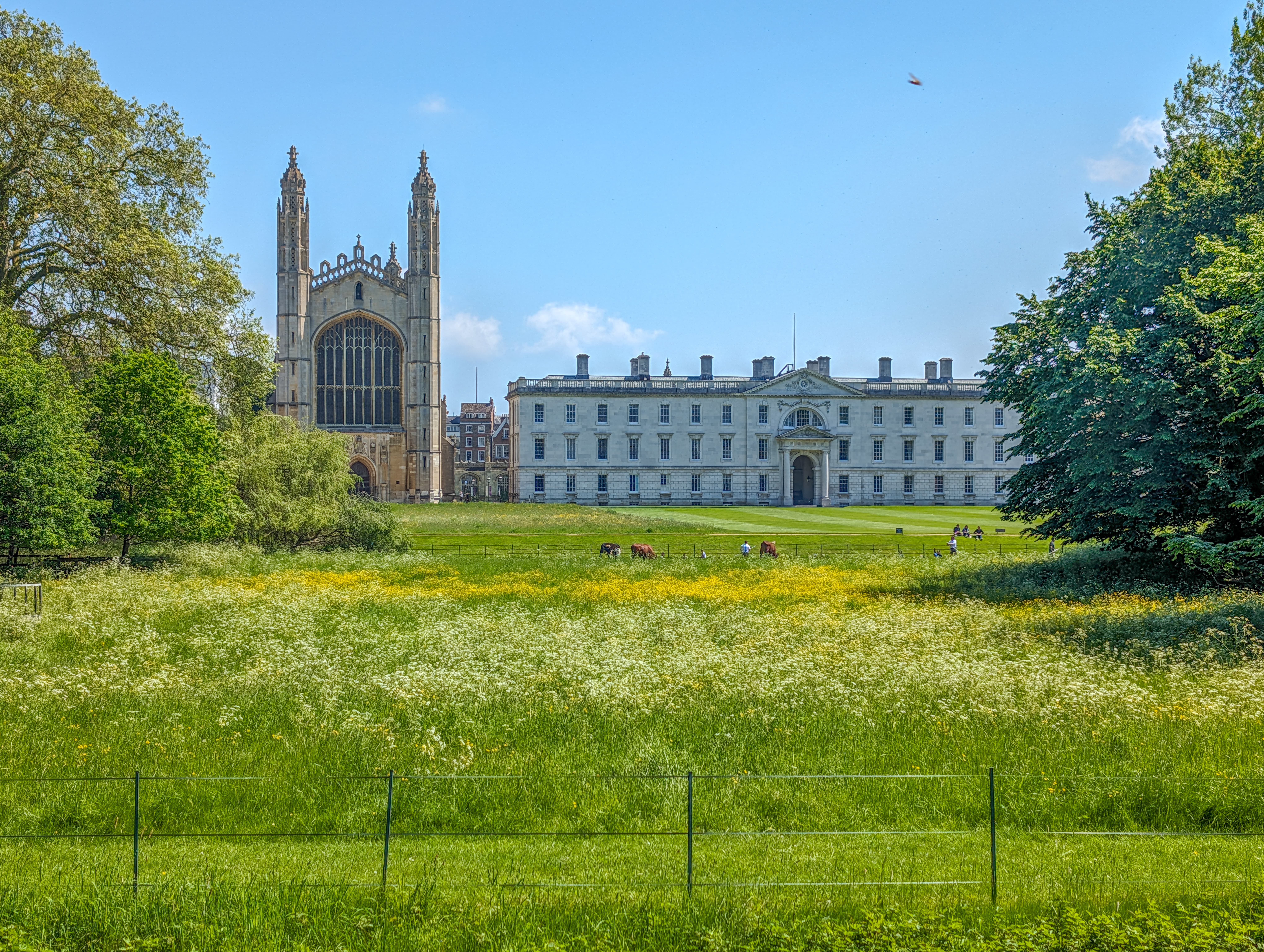 Cambridge Property 2